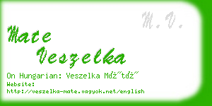 mate veszelka business card